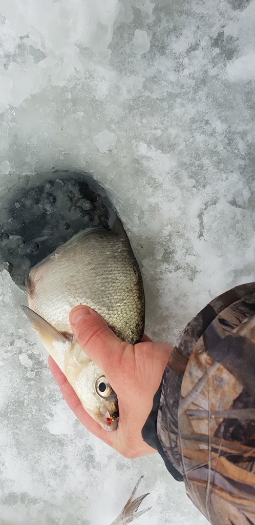 Как ловить в глухозимье 00002.JPG